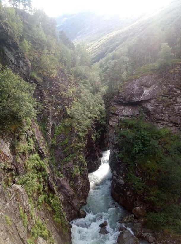 Hjelledalen Hyttesenter Exterior foto